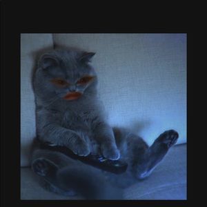 Meet your Posher, Felicity